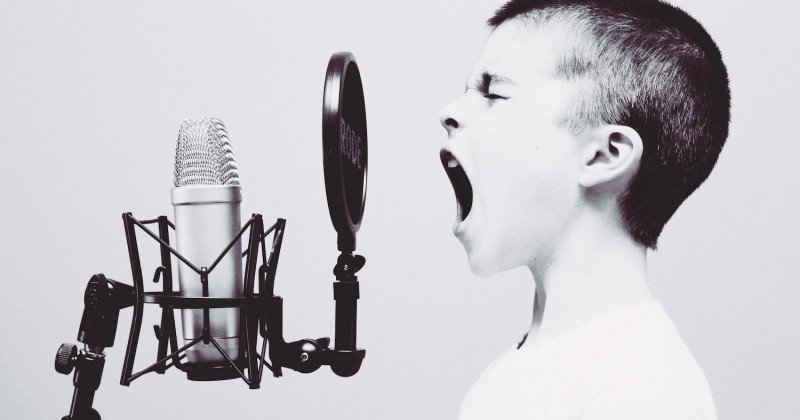 The rise of employee voice